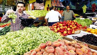 صورة كيف حققت مصر الاكتفاء الذاتي من 82 سعة زراعية؟