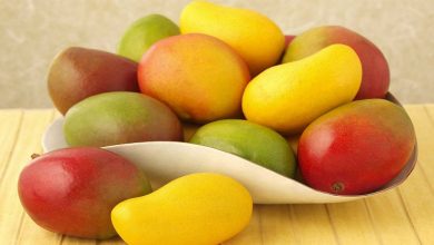 صورة سعر الكيلو  60الف جنيه والأغلى في العالم .. تعرف مميزات مانجو “بيض الشمس”