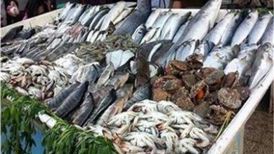 صورة اسعار الاسماك اليوم والبلطي ب17جنيه