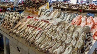 صورة اسعار الأسماك اليوم
