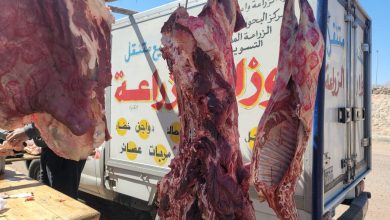 صورة  اسعار اللحوم البلدية اليوم