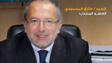 صورة “طارق المحمودي” عضوا منتدبا للمصرية للإستعلام الإئتمانيI-Score