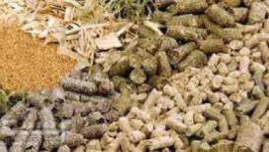 صورة اسعار الأعلاف في الاسواق