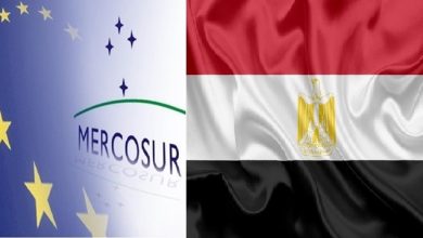 صورة غدأ.. بدء تطبيق تخفيضات جمركية لقائمة جديدة من الصادرات المصرية