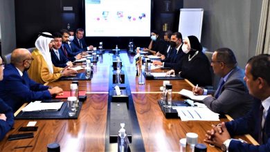 صورة وزيرة التجارة والصناعة تبحث مع عدد من كبريات الشركات الاماراتية  فرص ضخ استثمارات جديدة