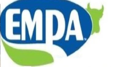 صورة منتجى الألبان: 7.5 مليار جنيه إجمالى استثمارات المزارع النظامية التى تٌنتج “ألبان طازجة