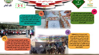 صورة انفوجراف.. توزيع الأسمدة واستبعاد مسئولين متقاعسين عن حماية الأراضي.. حصاد الزراعة في اسبوع