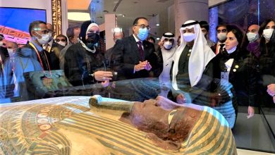 صورة وزيرة التجارة والصناعة : معرض إكسبو دبي استقبل 150الف زائر
