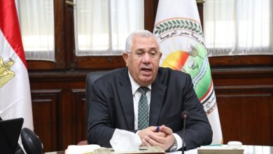 صورة وزير الزراعة يعلن فتح الاسواق الصينية امام الرمان المصري