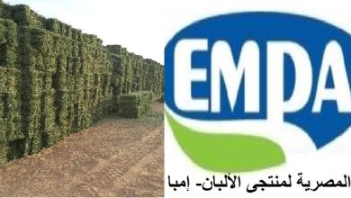 صورة “منتجى الألبان” تطالب بوقف تصدير ” الدريس الحجازى ” للحد من ارتفاع أسعار اللحوم