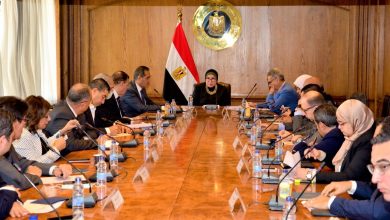 صورة تفاصيل لقاء وزيرة التجارة والصناعة  مع ممثلى المجالس التصديرية