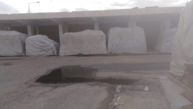 صورة الزراعة:  ترفع حالة التأهب لحماية محطات التقاوي من الامطار