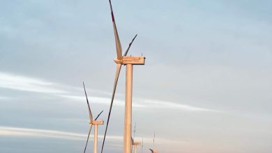 صورة بقدرة 250 ميجاوات.. بدء التشغيل التجاري لمزرعة غرب بكر للرياح