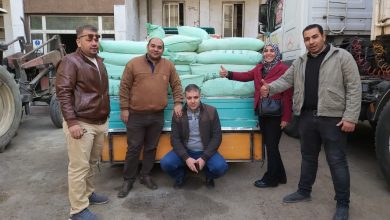 صورة تموين الجيزة تكثيف الحملات الرقابية على الأسواق لضبط المخالفين