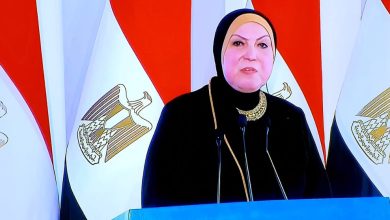 صورة وزيرة التجارة والصناعة تستعرض أمام الرئيس السيسى خطة التنمية الصناعية  لإقليم الصعيد