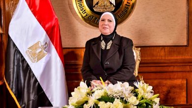 صورة وزيرة التجارة والصناعة تعلن إصدار صندوق تنمية الصادرات بإجمالي مساندة 957.4 مليون جنيه