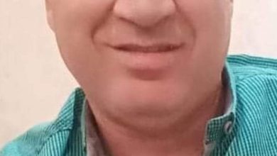 صورة مصر تصدر ٢٠٪ من الانتاج العالمي.. “الطوخي” يكشف عن أول مشروع مصري لتجهيز الفراولة(حوار)