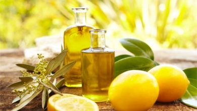 صورة دراسة للبحوث الزراعية : زيت الزيتون وعصير الليمون يمنعان الإصابة بالشيخوخة المبكرة
