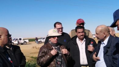 صورة “الزراعة “خطة بحثية لزيادة الإنتاج وفتح أسواق جديدة للصادرات الزراعية