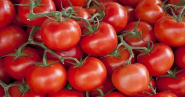 صورة “الزراعة” تكشف اسباب  ارتفاع أسعار الطماطم والبطاطس