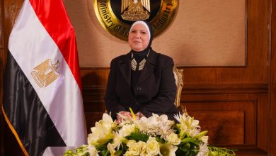 صورة وزيرة التجارة والصناعة تصدر قراراً بإنشاء مجلس الصناعات النسيجية