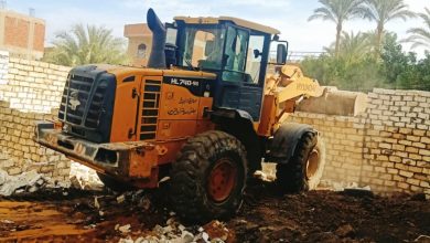 صورة محافظة الجيزة :إزالة  ٦ حالات تعدي علي الاراضي الزراعية بمركز ابو النمرس