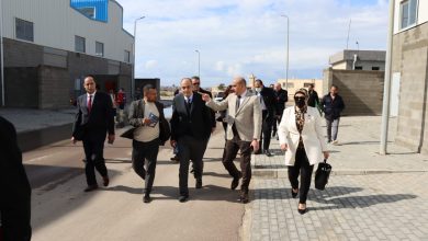 صورة التنمية الصناعية ولجنة المشروعات الصغيرة بالبرلمان يبحثان مطالب مستثمري المجمع الصناعي بمرغم