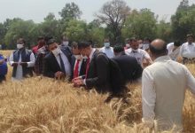 صورة وزير الزراعة يعلن اعتماد الهند كمنشأ جديد لاستيراد القمح