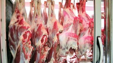 صورة “الزراعة” : توفير اللحوم والسلع الغذائية من خلال ١٧٠ منفذ ثابت بتخفيضات 20%