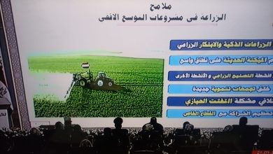 صورة وزير الزراعة :مشروع الدلتا الجديدة يضيف إلى الرقعة الزراعية 30% من المساحة الكلية للأراضي