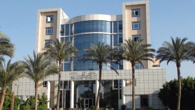 صورة ” الأغذية والأعلاف” يعلن زيادة طلبات تسجيل خامات الأعلاف المحلية