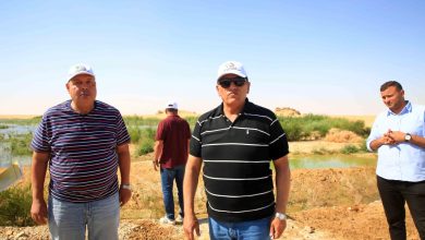 صورة “الريف المصرى” يطلق مبادرة لتشجيع مشروعات الثروة الحيوانية بأراضى الـ ١.٥ مليون فدان(صور)