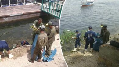 صورة “الري” تنظم حملة لتطهير ونظافة نهر النيل بالمحافظات