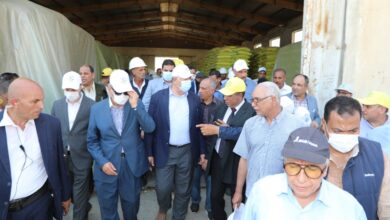 صورة وزير الزراعة : التوسع في التقاوي المعتمدة لزيادة الانتاجية ودعم المزارعين