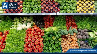 صورة وزير الزراعة: صادرات مصر الزراعية تتجاوز 4.4 مليون طن هذا العام