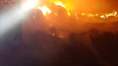 صورة حريق هائل بمزرعة رئيس الاتحاد التعاوني الزراعي بشبين القناطر