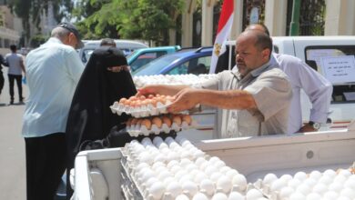 صورة “الزراعة” تطرح كميات من بيض المائدة  خلال منافذها المتحركة والثابتة بسعر 65 جنيه للكرتونة