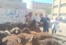 صورة فحص وعلاج 2047 حيوان في ختام قافلة بيطرية مجانية بمحافظة الغربية