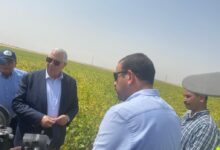 صورة وزير الزراعة يقوم بزيارة لمشروع مستقبل مصر..و حصاد فول الصويا وسيلاج الذرة