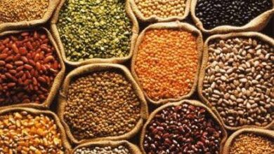 صورة النخالة ب6700جنيه ..اسعار الاعلاف في الاسواق اليوم السبت