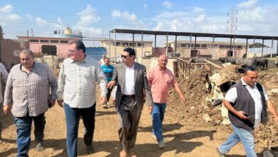 صورة مستشار وزير الزراعة يتفقد مزرعة قطاع الانتاج بمشتهر والصوب الزراعية بطوخ