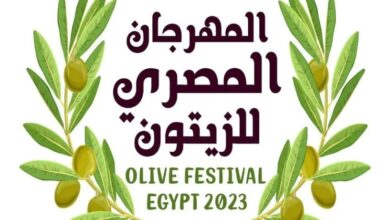 صورة انطلاق المهرجان المصري للزيتون ديسمبر المقبل