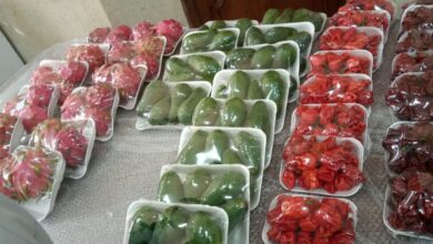 صورة اسعار الخصر والفاكهة اليوم الثلاثاء