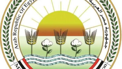 صورة الزراعة : الإفراج عن 756 ألف طن ذرة وفول صويا وإضافات اعلاف