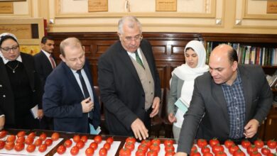 صورة وزير الزراعة يتابع نتائج تقييم بعض الهجن وأصناف الطماطم