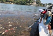 صورة عاجل.. “الري ” تتخذ إجراءات ضد عائمة تلقي مخلفات صلبة في نهر النيل