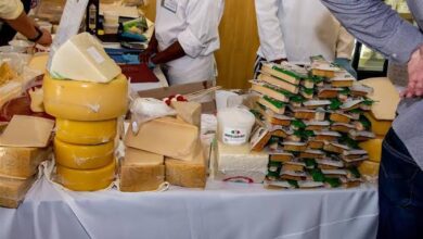 صورة انطلاق اول مهرجان للجبن المصري بحديقة الاورمان بالجيزة