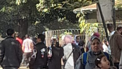 صورة الحكومة تنفي تجريف أشجار حديقة الحيوان تزامنا مع تطويرها