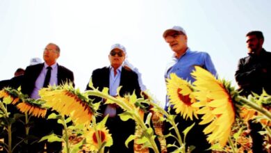 صورة “الريف المصري ” تطلق مبادرة لتشجيع زراعة الذرة الشامية ودوار الشمس والمحاصيل الاستراتيجية بأراضى ال ١.٥ مليون فدان