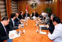 صورة وزير التجارة والصناعة يبحث فرص تطوير صناعة الجلود والمنتجات الجلدية في مصر